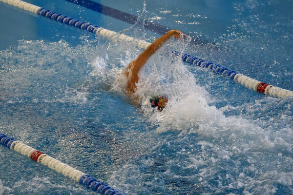 Professional swimmer swimming race in indoor pool at gym health centre. High quality photo