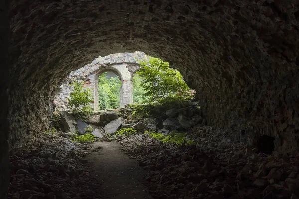 Ukrayna Nın Rivne Bölgesindeki Dubno Kalesi Tarakaniv Kalesi Nin Kalıntıları — Stok fotoğraf