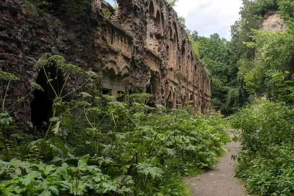 Ukrayna Nın Rivne Bölgesindeki Dubno Kalesi Tarakaniv Kalesi Nin Kalıntıları — Stok fotoğraf