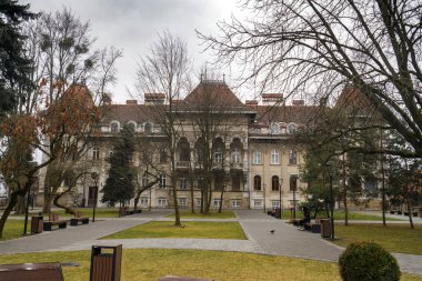 Ukrayna Chernivtsi 'deki Ponus Evi. Aralık 2021. Yüksek kalite fotoğraf