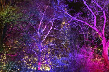 Avusturya 'nın tarihi merkezi Viyana' daki Viyana Belediye Binası yakınlarındaki Rathausplatz Meydanı 'nda parlak bir tatil aydınlanması. Ocak 2022. Yüksek kalite fotoğraf