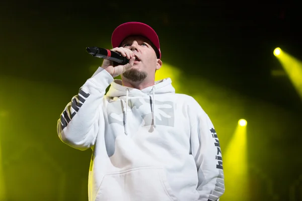 Limp Bizkit performing live — Stock Photo, Image