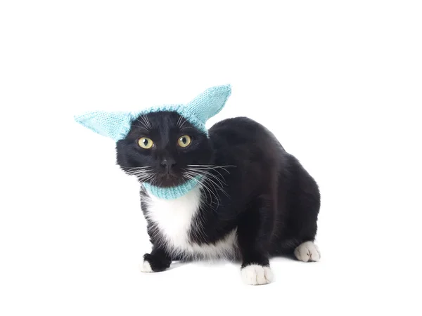 Gato negro en el sombrero —  Fotos de Stock