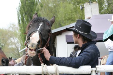 rodeo kovboy
