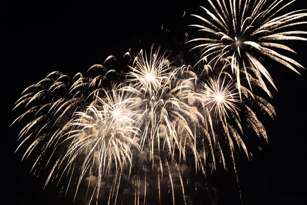 Fuegos artificiales de colores sobre el cielo nocturno — Foto de Stock