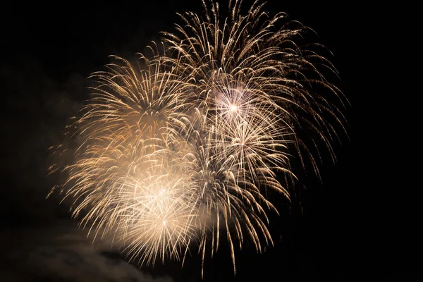 Fuochi d'artificio colorati nel cielo notturno — Foto Stock