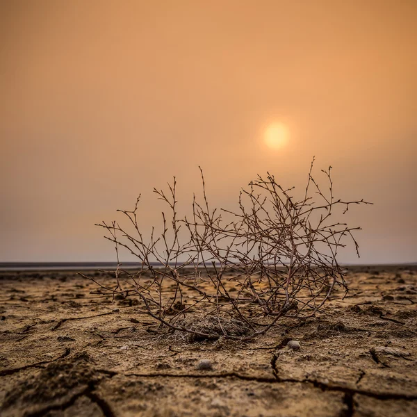 Puesta de sol en el lago seco — Foto de Stock