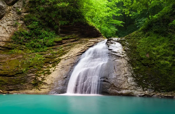 Höga och breda vattenfall i skogen — Stockfoto