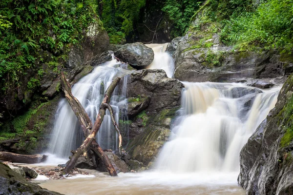 Високий і широкий водоспад в лісі — стокове фото