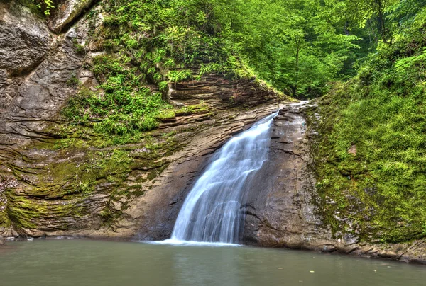 Tropical waterfall, falls on the river meshoko, Republic of Adyg — Stock Photo, Image