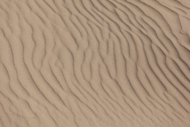 Sands, kumullar, panorama