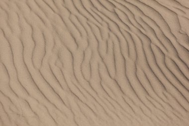 sands, dunes, panorama clipart