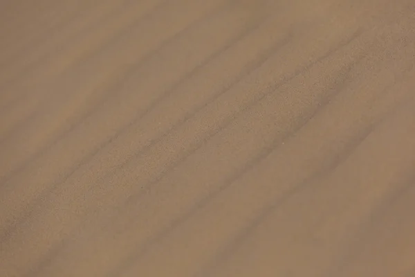 Пески, дюны, панорама — стоковое фото