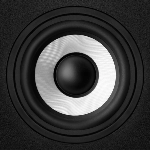 Haut-parleur noir & blanc — Photo