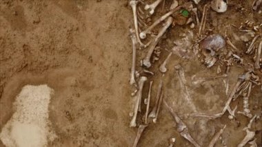 Topraktaki insanların kafatasları ve kemikleri. İskelet kalıntıları, yer kabri.