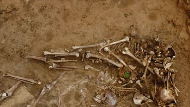 Des crânes et des os de gens dans le sol. restes humains ossements de squelette, tombeau au sol — Video