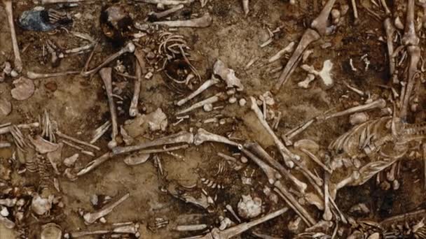 Lebky a kosti lidí v zemi. Lidské ostatky kostry, pozemská hrobka — Stock video