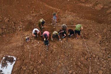 Bir savaş suçunun işlendiği yerdeki kazılar. Toplu katliam yapılan bir yer. İskelet kalıntıları, kafatasları. Nazilerin kurbanlarının insan kalıntıları. 28.08.2021, Rostov bölgesi, Rusya