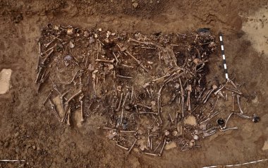 Topraktaki insan kalıntılarının en üst görüntüsü. Savaş suçu mahalli. Toplu katliam yapılan bir yer. İskelet kalıntıları, kafatasları. Nazilerin kurbanlarının insan kalıntıları.