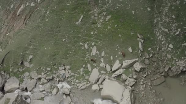 Prachtig uitzicht op de Tobot waterval. Kaukasus bergen. Luchtfoto van de Tobot waterval. Meest populaire natuurlijke bezienswaardigheid. Dlog-M 10 bit — Stockvideo