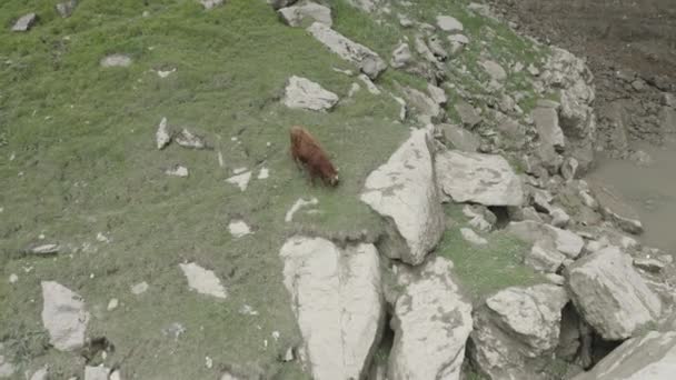 Όμορφη θέα του καταρράκτη Tobot. Καύκασος βουνά. Αεροφωτογραφία του Τομπότ Καταρράκτης. Το πιο δημοφιλές φυσικό ορόσημο. Dlog-M 10 bit — Αρχείο Βίντεο