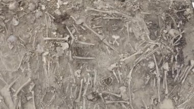 Toprağın altındaki insanların kafatasları ve kemikleri, toplu katliamların yapıldığı yerde arama ekibinin çalışması. İskelet kalıntıları, yer kabri. Gerçek insan kalıntıları. Dlog-M 10 bit