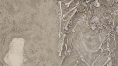 Toprağın altındaki insanların kafatasları ve kemikleri, toplu katliamların yapıldığı yerde arama ekibinin çalışması. İskelet kalıntıları, yer kabri. Gerçek insan kalıntıları. Dlog-M 10 bit