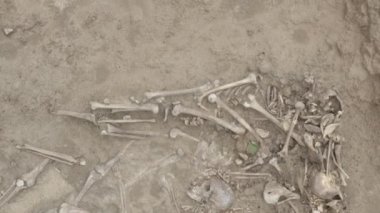 Toprağın altındaki insanların kafatasları ve kemikleri, toplu katliamların yapıldığı yerde arama ekibinin çalışması. İskelet kalıntıları, yer kabri. Gerçek insan kalıntıları. Dlog-M 10 bit