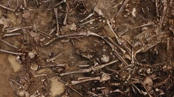 Calaveras y huesos de personas en el suelo. Restos humanos huesos de esqueleto, tumba en tierra — Vídeos de Stock