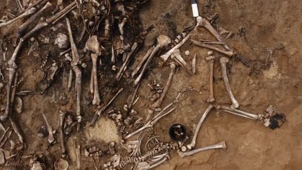 Des crânes et des os de gens dans le sol. restes humains ossements de squelette, tombeau au sol — Video