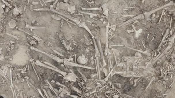 Skulls and bones of people in the ground, Work of the search team at the site of a mass shooting of people. Human remains bones of skeleton, ground tomb. Real human remains. Dlog-M 10 bit — Stock Video