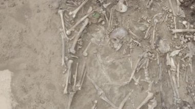 Toprağın altındaki insanların kafatasları ve kemikleri, toplu katliamların yapıldığı yerde arama ekibinin çalışması. İskelet kalıntıları, yer kabri. Gerçek insan kalıntıları. Dlog-M 10 bit