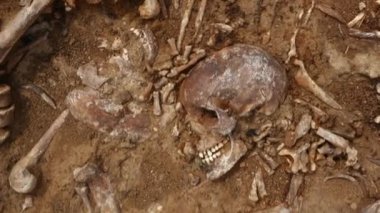 Toprağın altındaki insanların kafatasları ve kemikleri, toplu katliamların yapıldığı yerde arama ekibinin çalışması. İskelet kalıntıları, yer kabri. Gerçek insan kalıntıları.