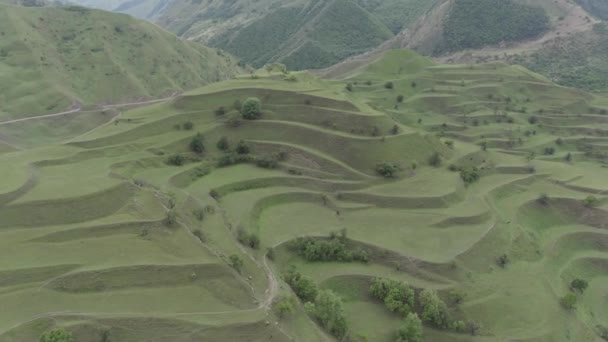 Belles terrasses verdoyantes de montagne. Vue aérienne du paysage naturel unique du Daghestan. Campagne campagne nature paysage Caucase Daghestan. Repère naturel le plus populaire. Dlog-M 10 bits — Video