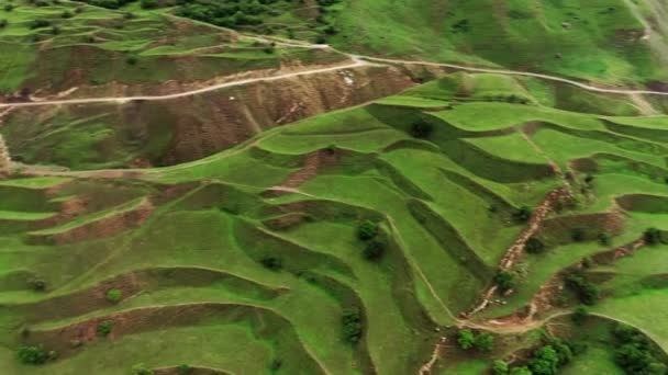 Prachtige berg groene velden terrassen. Luchtfoto van het unieke natuurlandschap Dagestan. Landelijk landelijk natuurlandschap Kaukasus Dagestan. Meest populaire natuurlijke bezienswaardigheid. 10 bit Video — Stockvideo