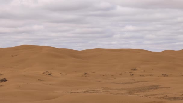 Пустынный пейзаж. Панорама пустыни, вид на песчаные дюны — стоковое видео
