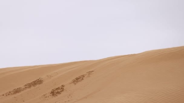 オフロード・エクストリーム・レーシングのためのスポーツカーは、砂のラリー・レード中にルートの困難な部分を乗り越える。KAGAN-2021の黄金。スローモーション120fps。25.04.2021ロシアのアストラハン — ストック動画