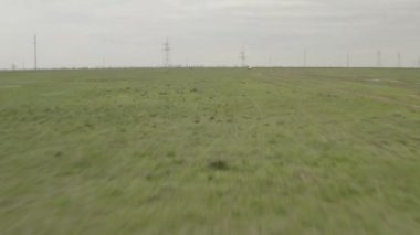 Baharda bir tarla üzerinde uçmak. Tarladaki taze buğday fidelerinin havadan görünüşü. 4K, 10 bit, DJI DLog-M profili