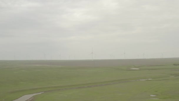 Volare su un campo agricolo in primavera. Veduta aerea di piantine di grano fresco nel campo. 4K, 10 bit, profilo DJI DLog-M — Video Stock