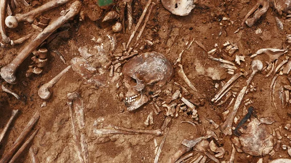 Archeologické vykopávky na místě činu, člověk zůstává v zemi. Místo válečného zločinu. Místo hromadného střílení lidí. Lidské ostatky - kosti kostry, lebky — Stock fotografie