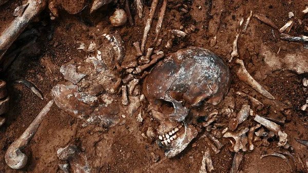 Escavações arqueológicas no local do crime, restos humanos no chão. Cena de crime de guerra. Local de um tiroteio em massa de pessoas. Restos humanos - ossos do esqueleto, crânios — Fotografia de Stock