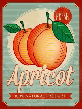 Kayısı poster vektör vintage tarzı