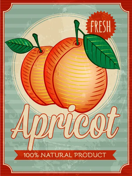 Vektor Vintage Styled Apricot Poster — Stockvektor