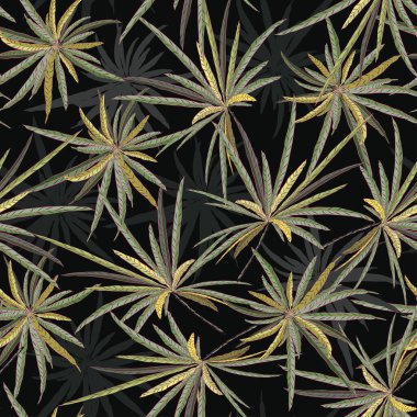 Güzel Yıldız Yaprağı, renkli, pürüzsüz desen vektörü EPS10, moda, kumaş, tekstil, duvar kağıdı, kapak, ağ, ambalaj ve siyah üzerine tüm baskılar için tasarım