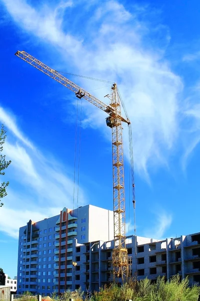 Crane — Stock Photo, Image