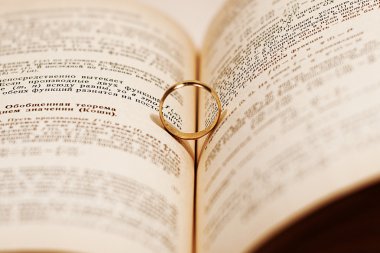 Alyans ilgili bir kitap