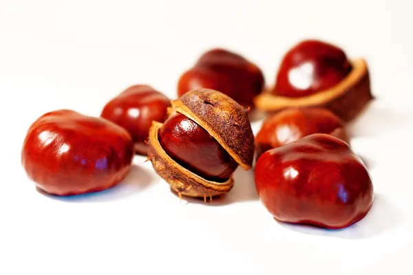 Brown chestnuts — Stock Photo, Image