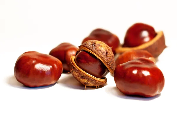 Brown chestnuts — Stock Photo, Image