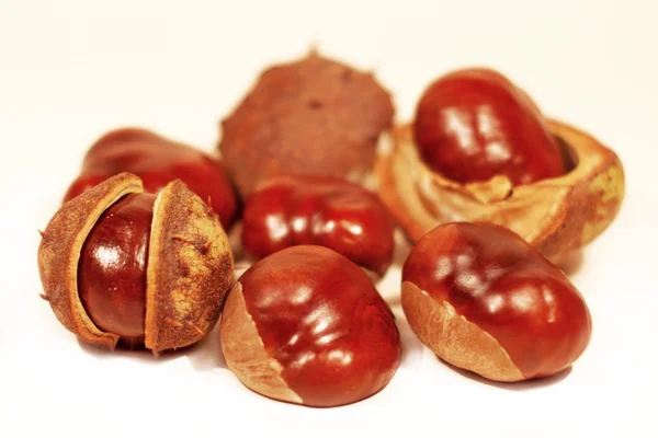 Brown chestnuts — Stock Photo, Image