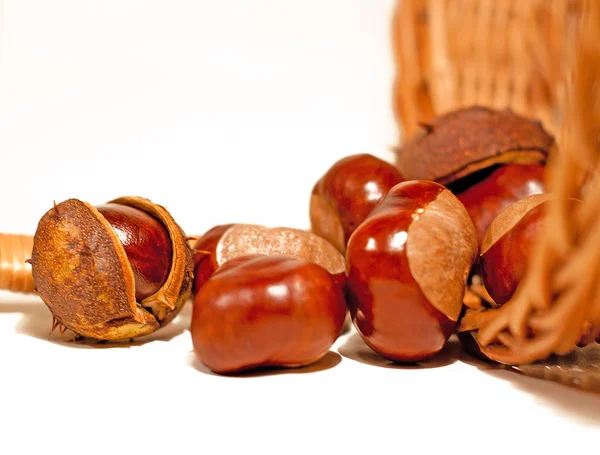 Brown chestnuts in basket — Stock Photo, Image